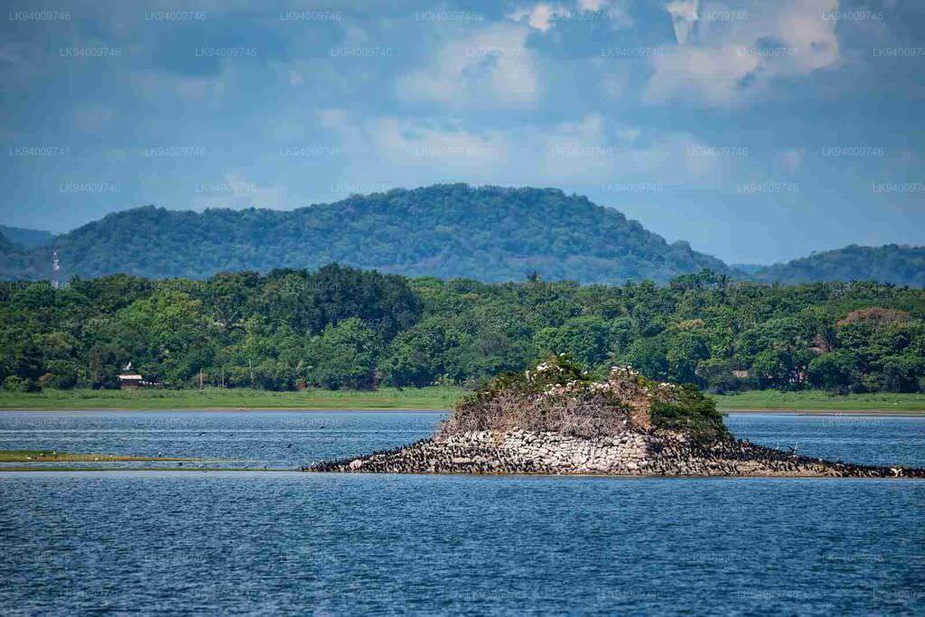 Parakrama Samudra, a man-made ancient water reservoir in Polonnaruwa, Sri Lanka